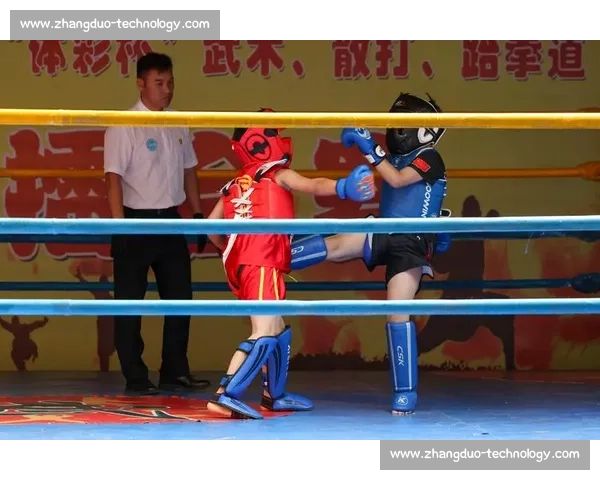 散打实战比赛全程回放精彩对决技艺比拼揭秘